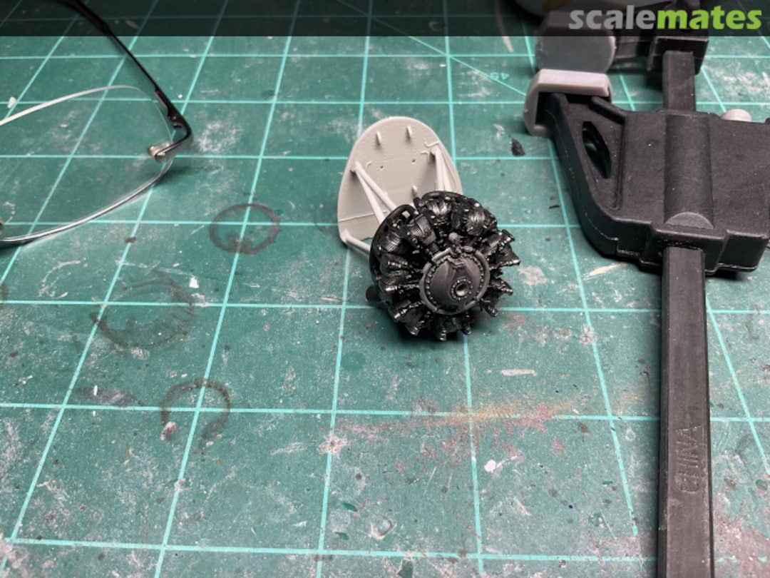 View album, image #1