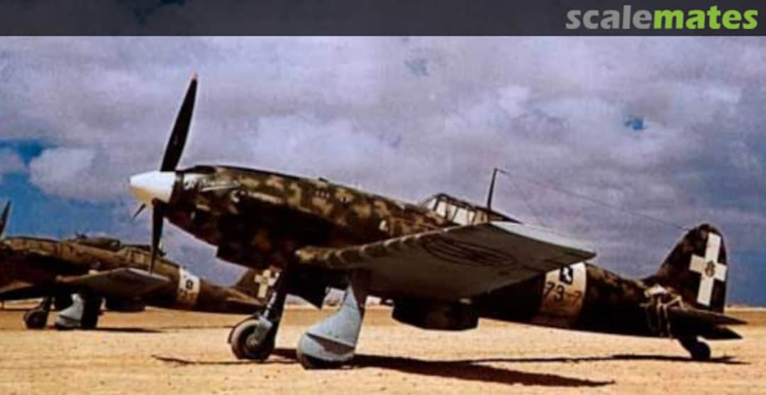 View album, image #1