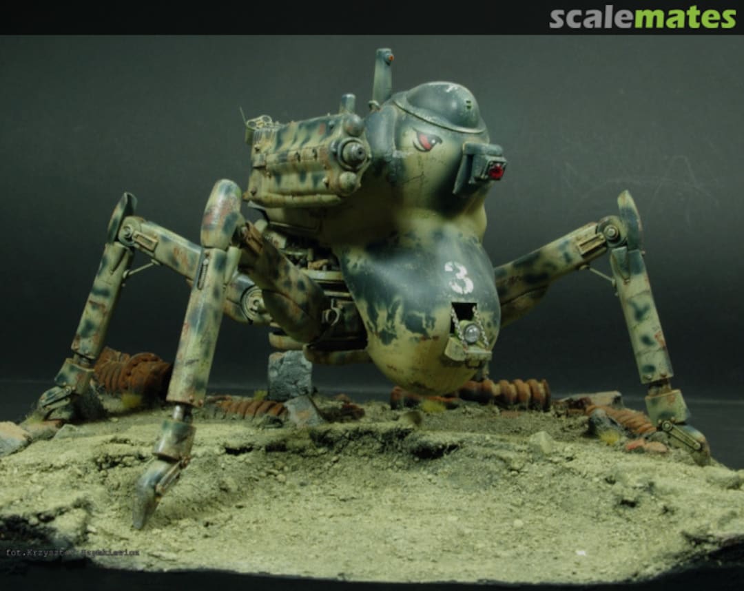 View album, image #1 View album, image #1