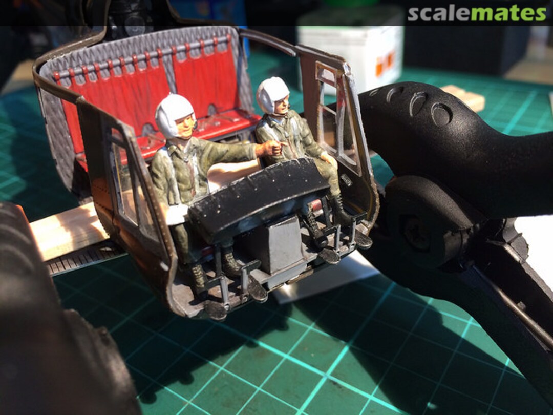 View album, image #3 View album, image #3