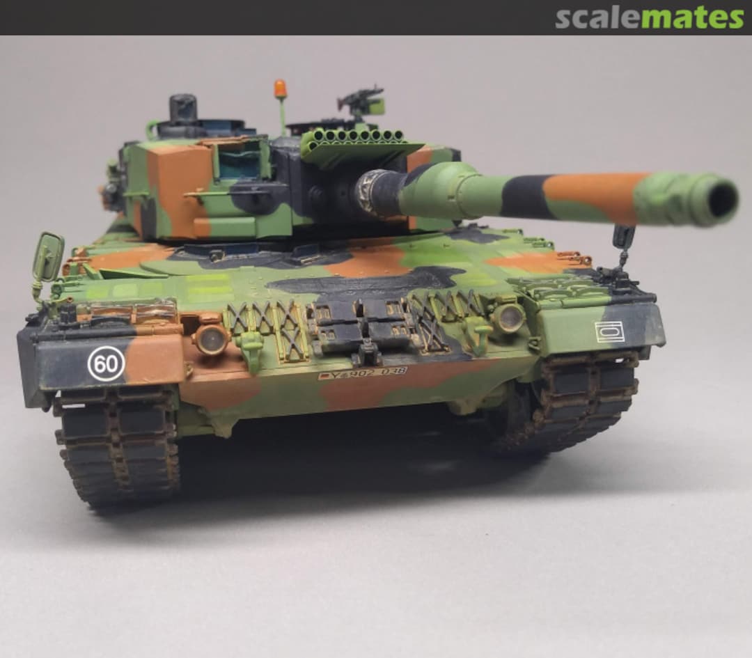 View album, image #5 View album, image #5