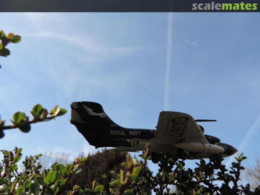 View album, image #4