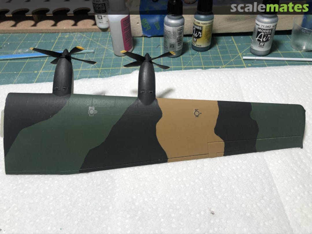 View album, image #1 View album, image #1