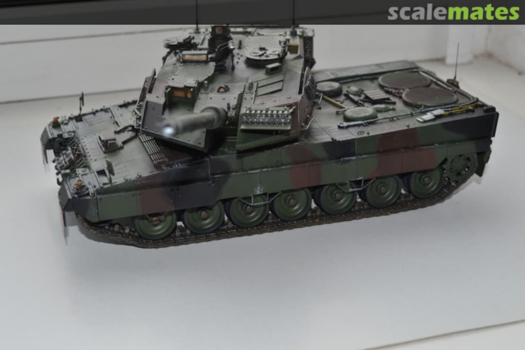 View album, image #19 View album, image #19