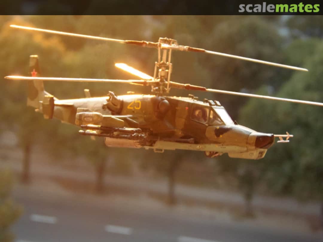 View album, image #1 View album, image #1