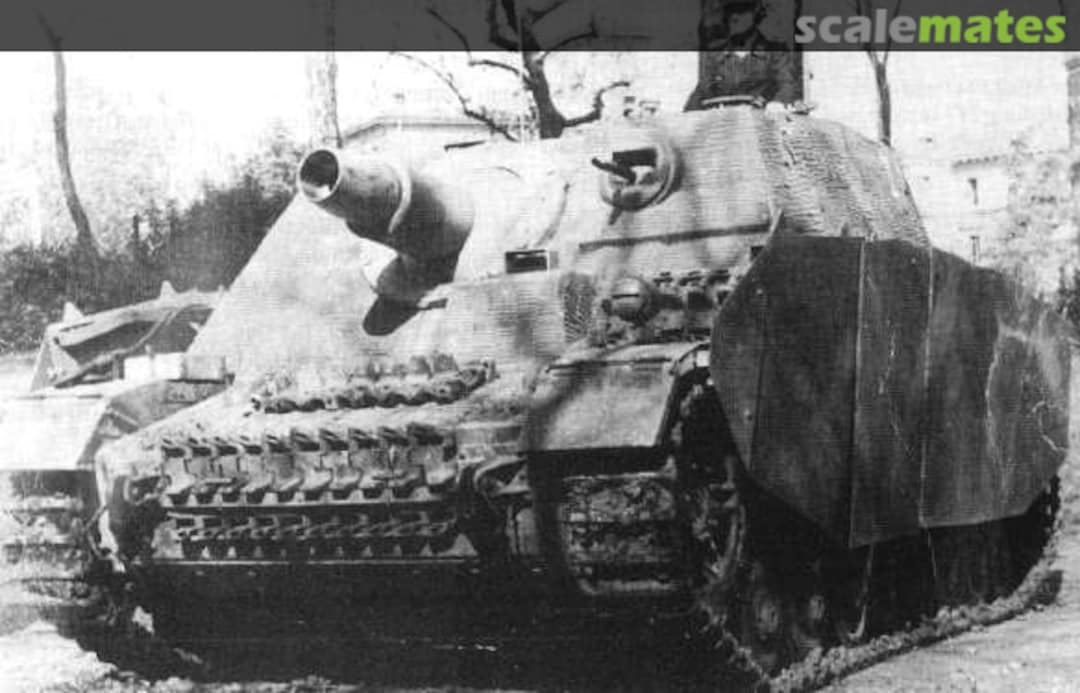 View album, image #1