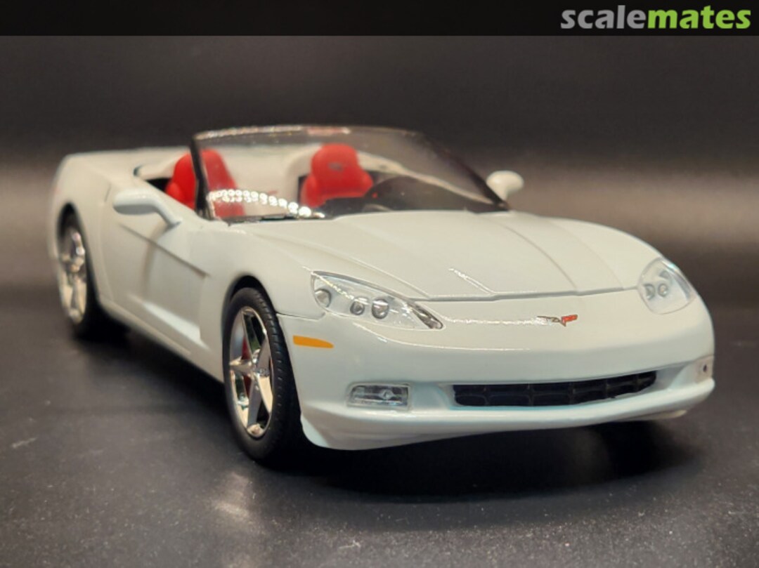 View album, image #1 View album, image #1