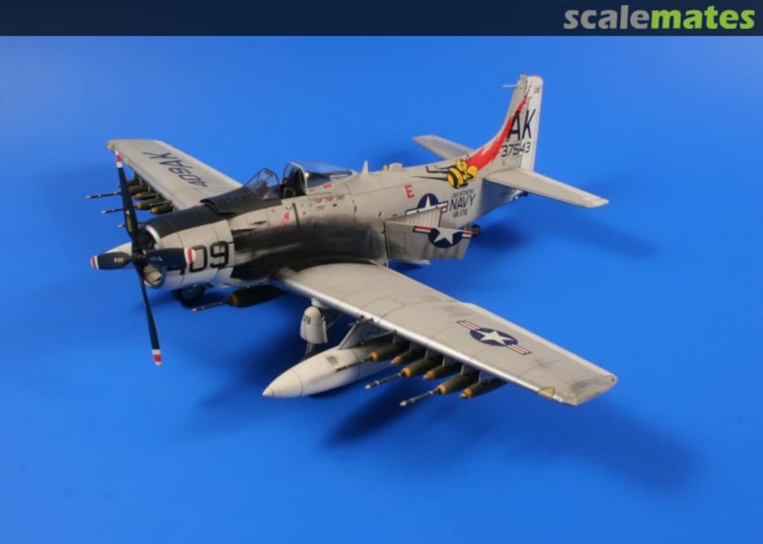 View album, image #1