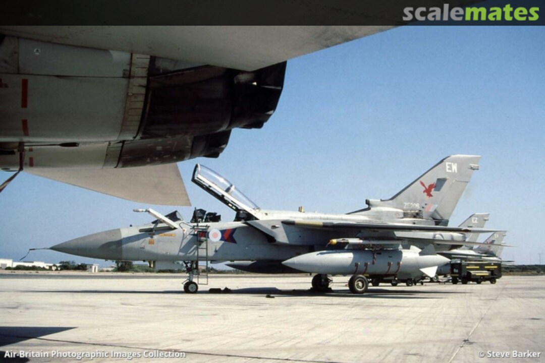 View album, image #1 View album, image #1