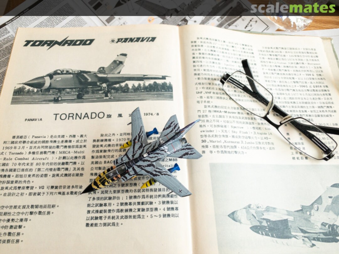 View album, image #28 View album, image #28