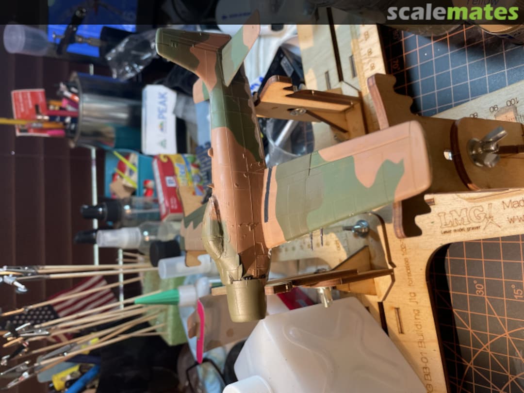 View album, image #7 View album, image #7