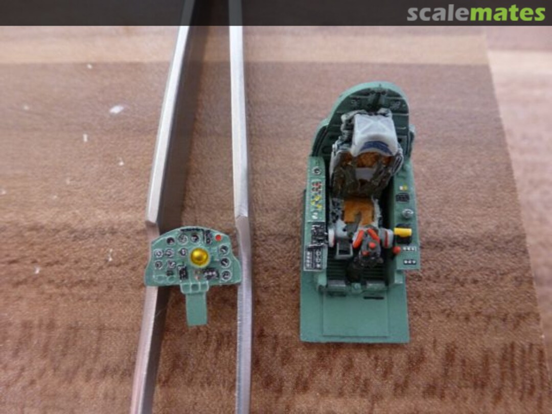 View album, image #4 View album, image #4