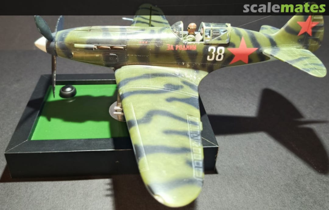 View album, image #9 View album, image #9