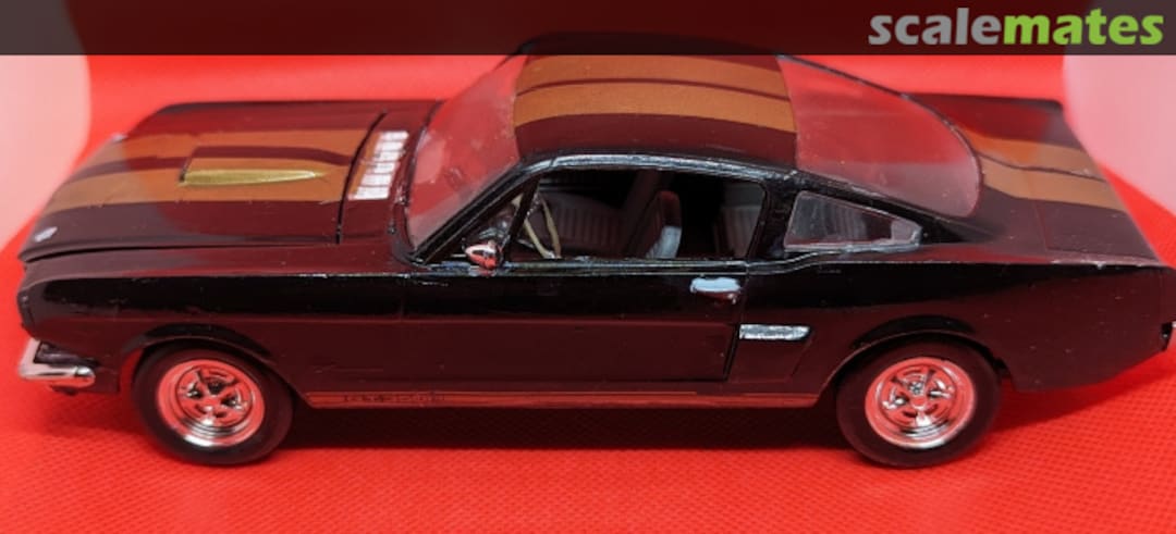 View album, image #2 View album, image #2