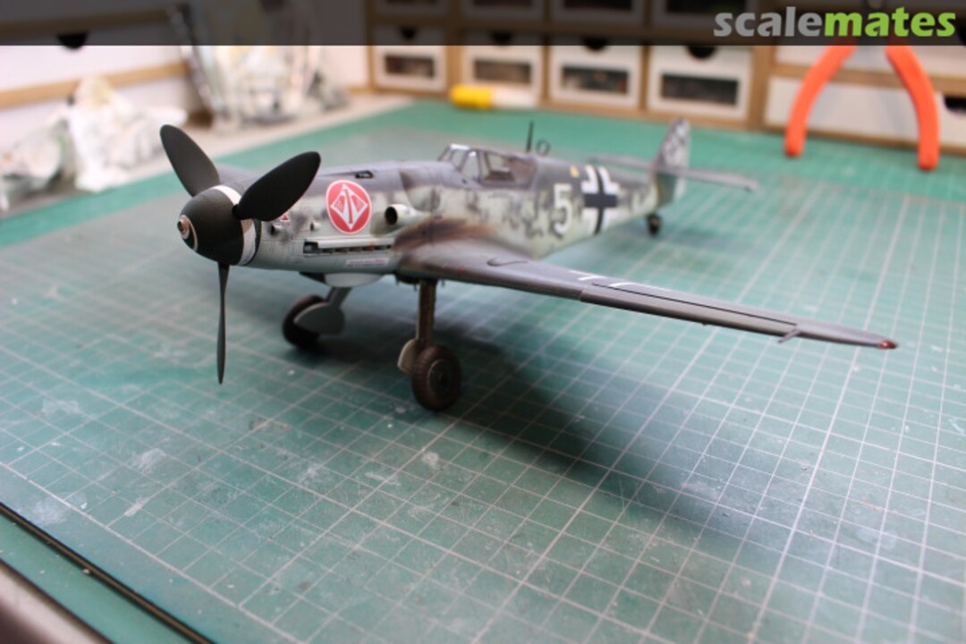 View album, image #1