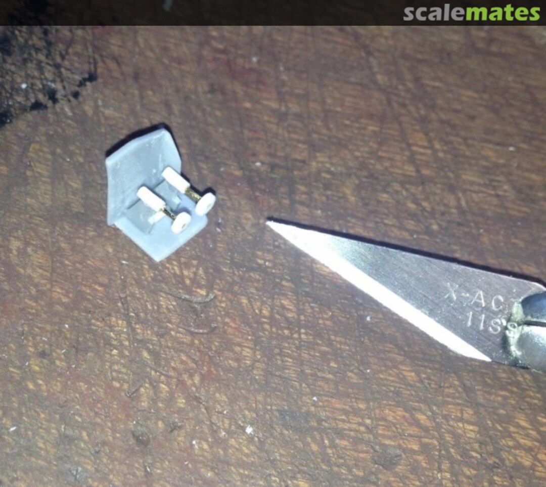 View album, image #1 View album, image #1