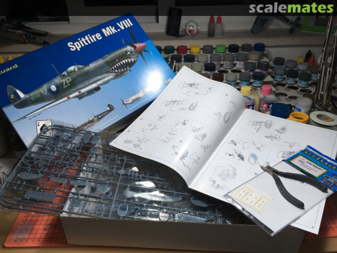 View album, image #1 View album, image #1