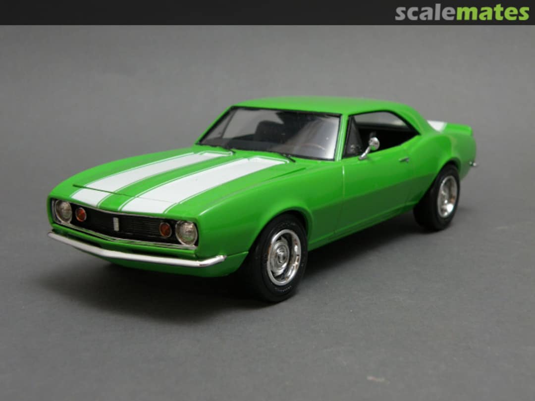 View album, image #6