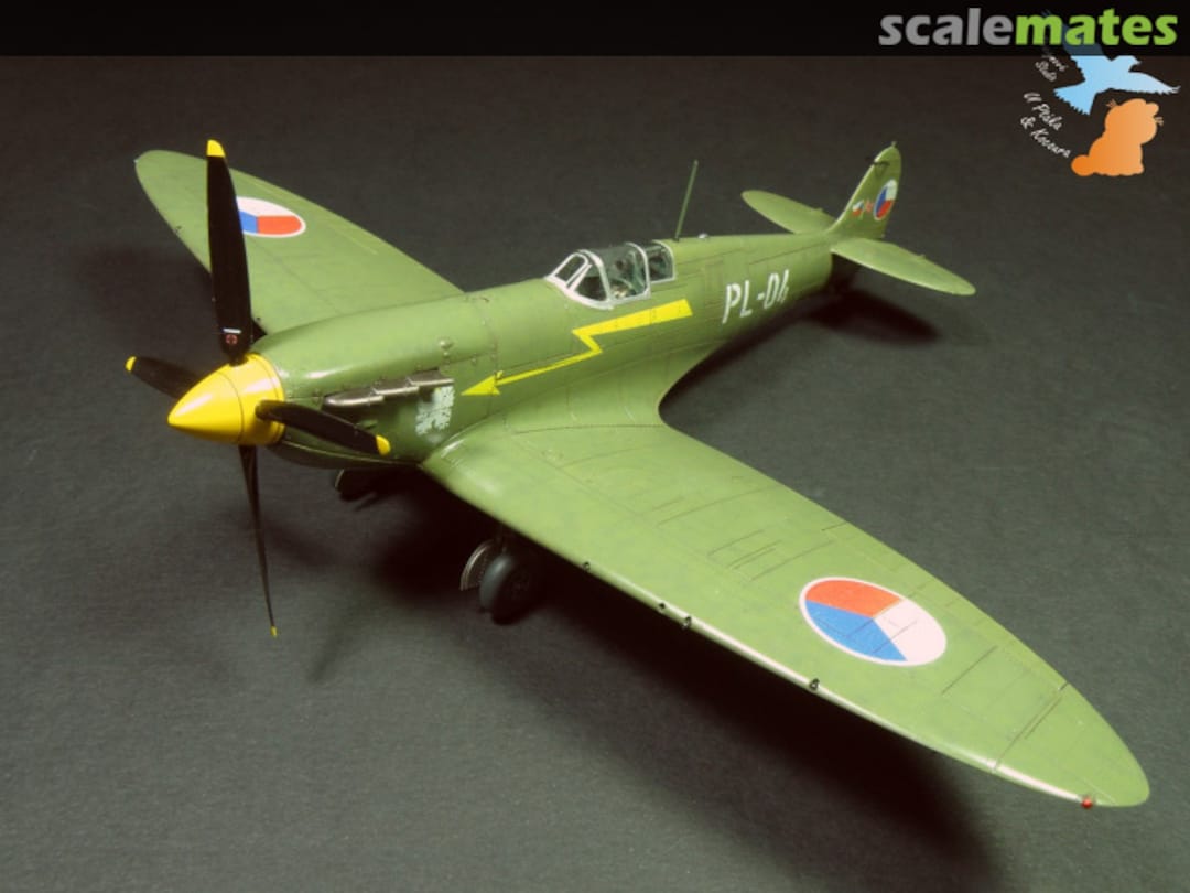 View album, image #1 View album, image #1