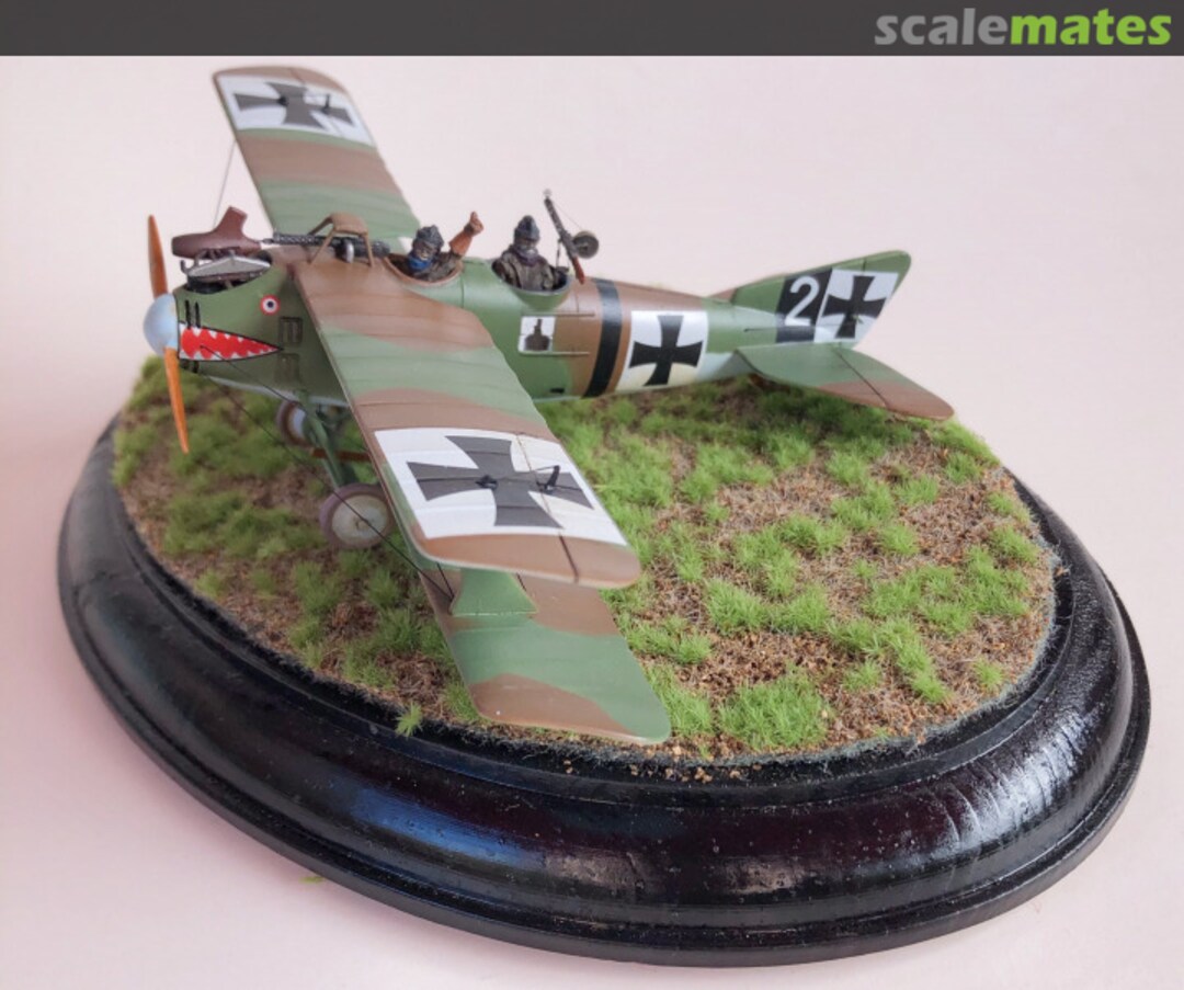 View album, image #1