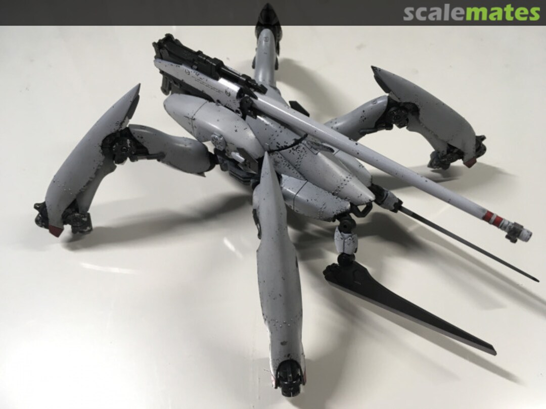 View album, image #1 View album, image #1