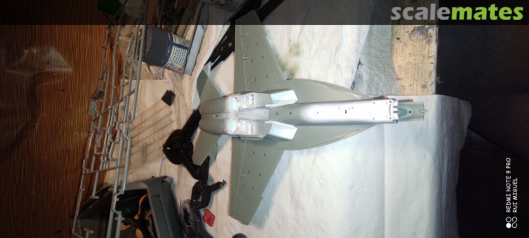 View album, image #1