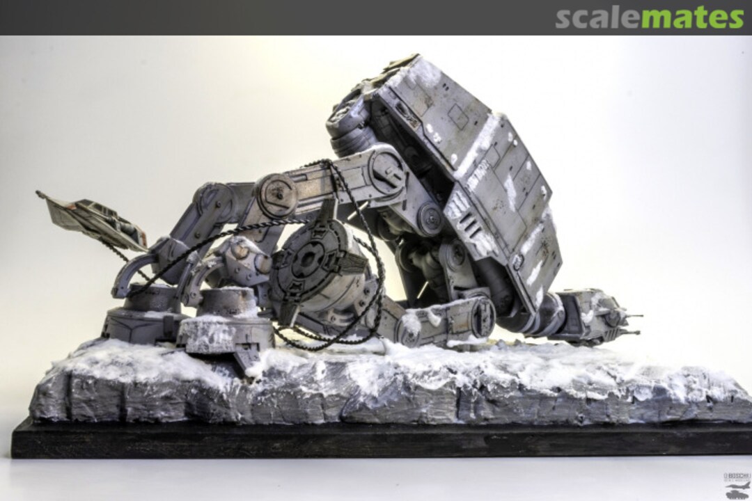 View album, image #10