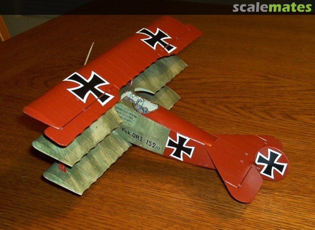 View album, image #1