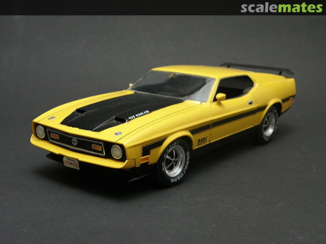 View album, image #1