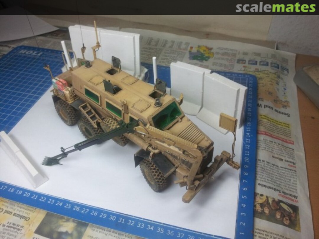 View album, image #1 View album, image #1