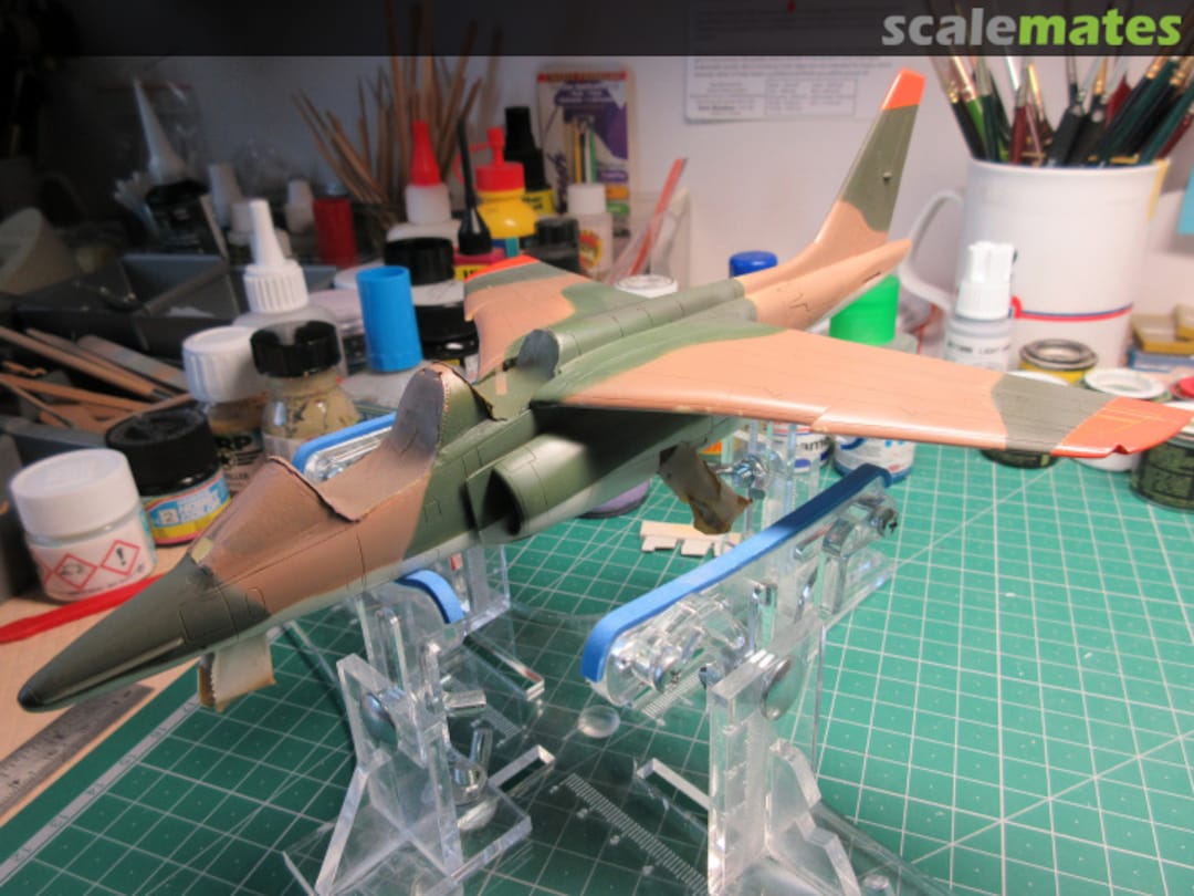 View album, image #14 View album, image #14