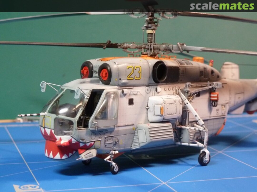 View album, image #35 View album, image #35