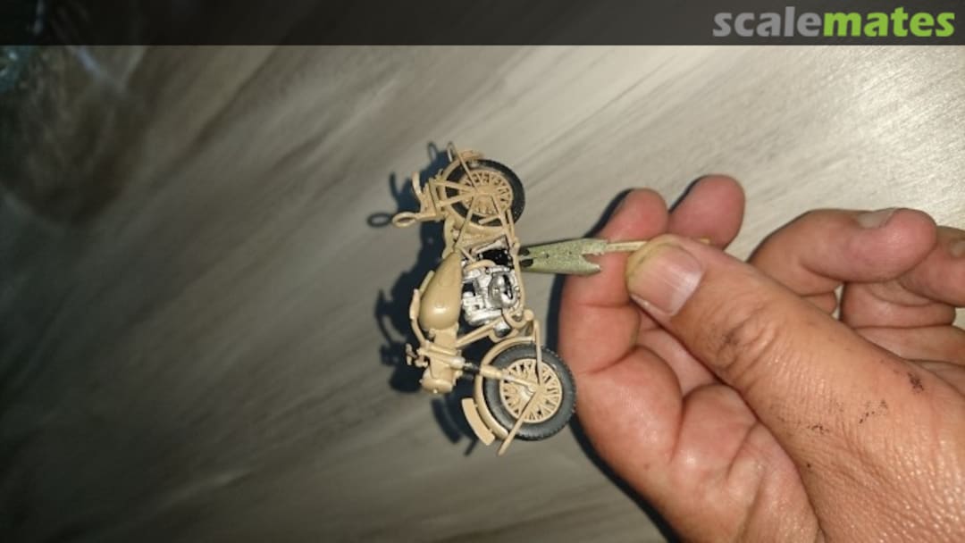 View album, image #1 View album, image #1