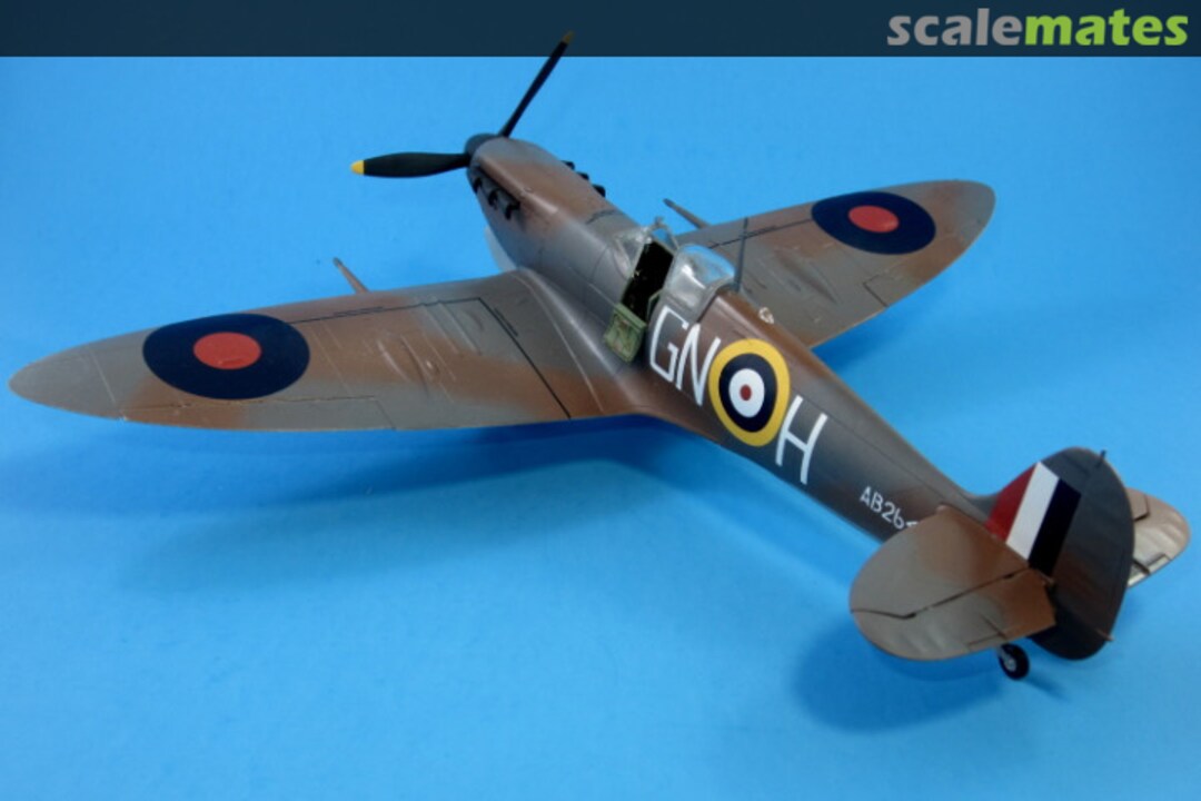 View album, image #1 View album, image #1