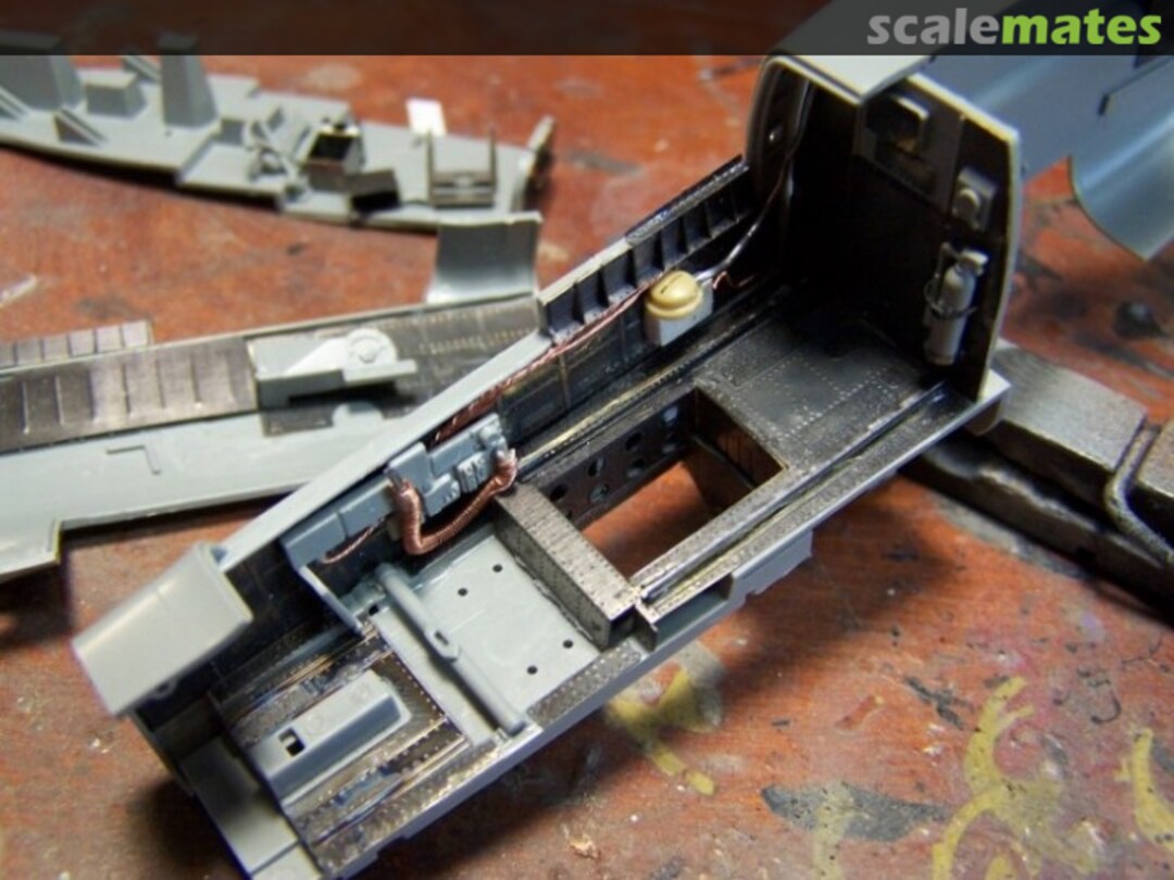 View album, image #1 View album, image #1