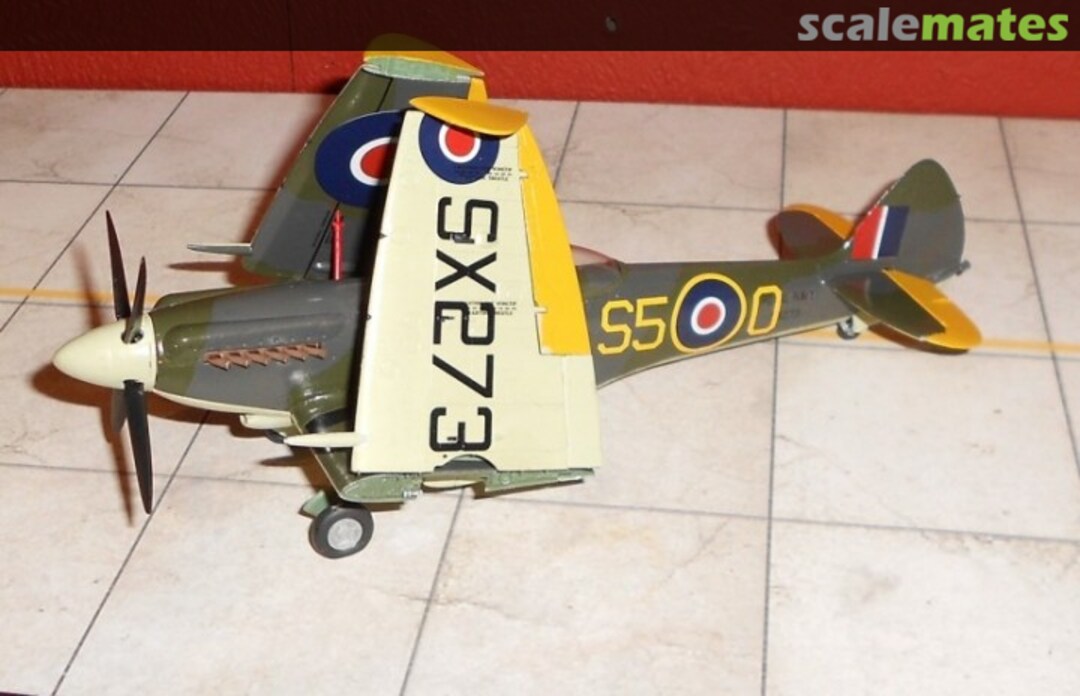 View album, image #12 View album, image #12