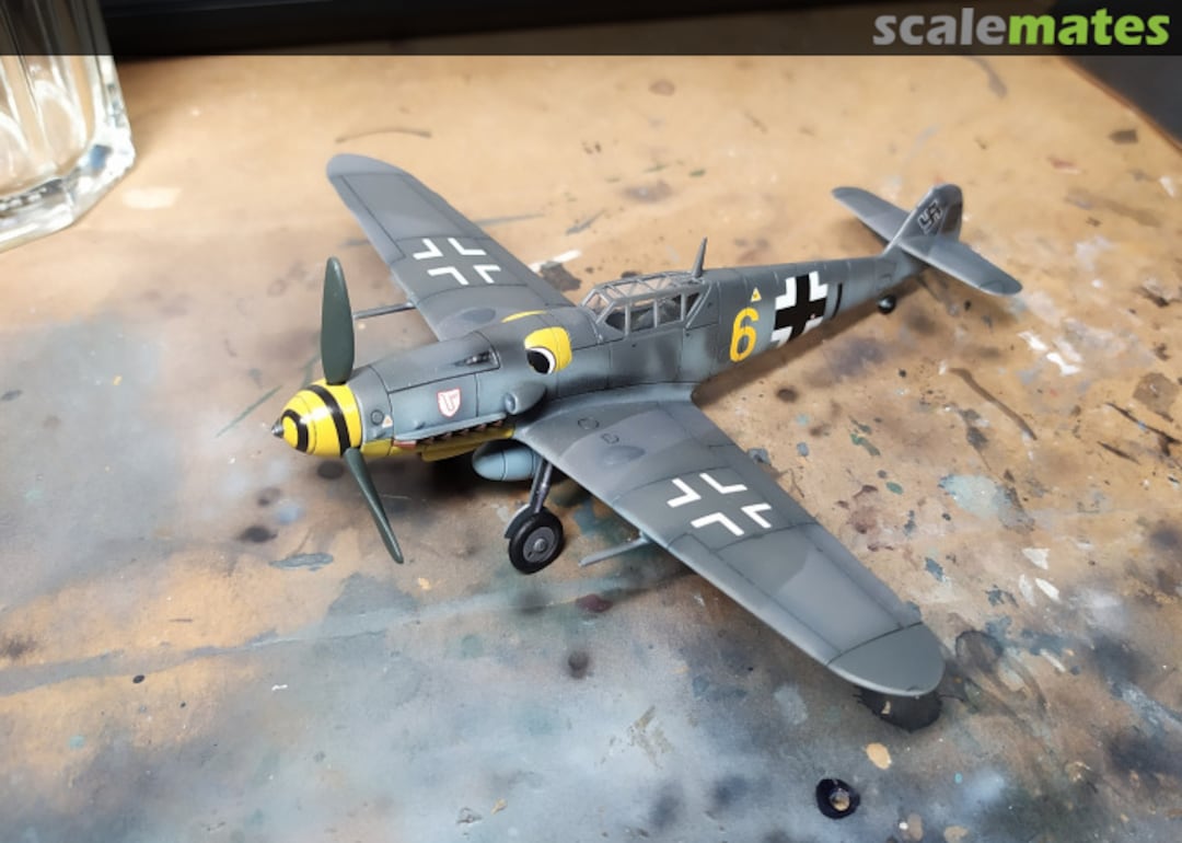 View album, image #6 View album, image #6