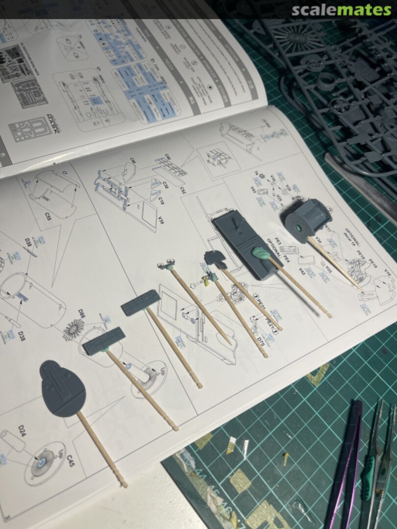 View album, image #1