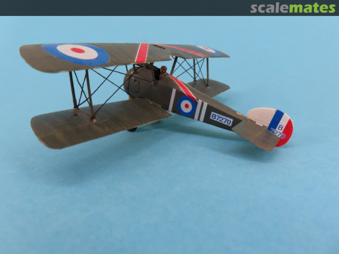 View album, image #1 View album, image #1