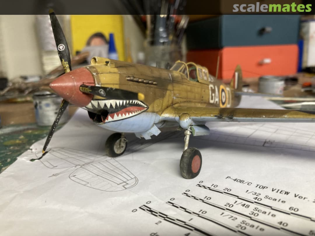 View album, image #3 View album, image #3