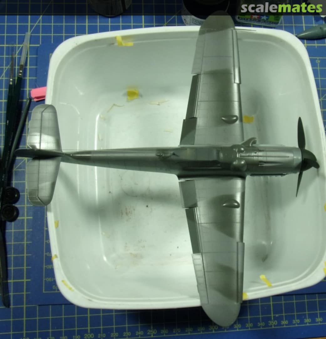 View album, image #1 View album, image #1