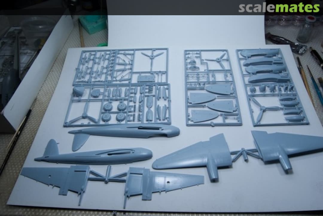 View album, image #1 View album, image #1