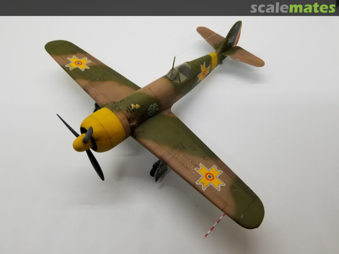 View album, image #1 View album, image #1