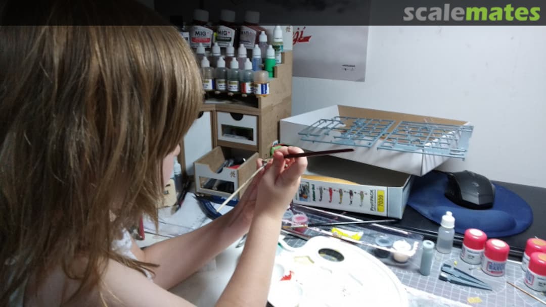 View album, image #1 View album, image #1