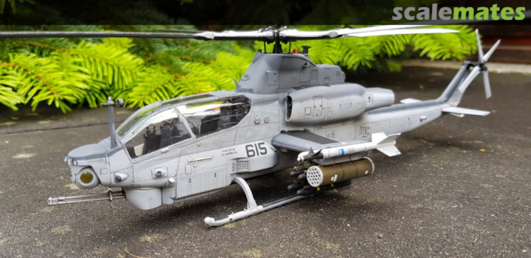 View album, image #1