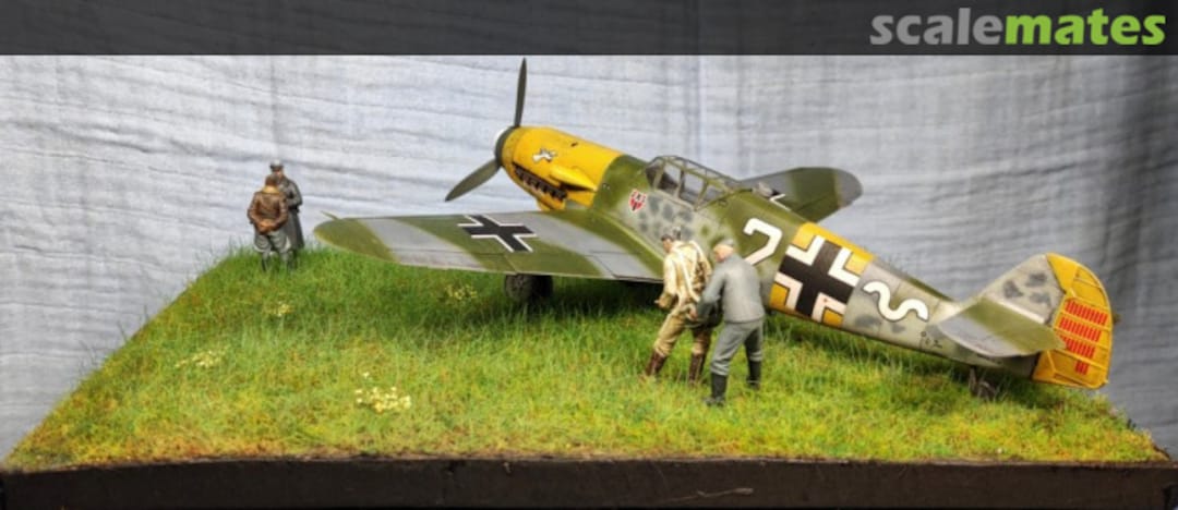 View album, image #1 View album, image #1