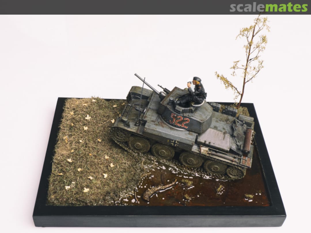 View album, image #7 View album, image #7