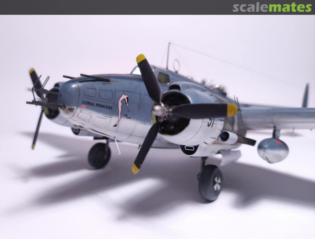 View album, image #14 View album, image #14