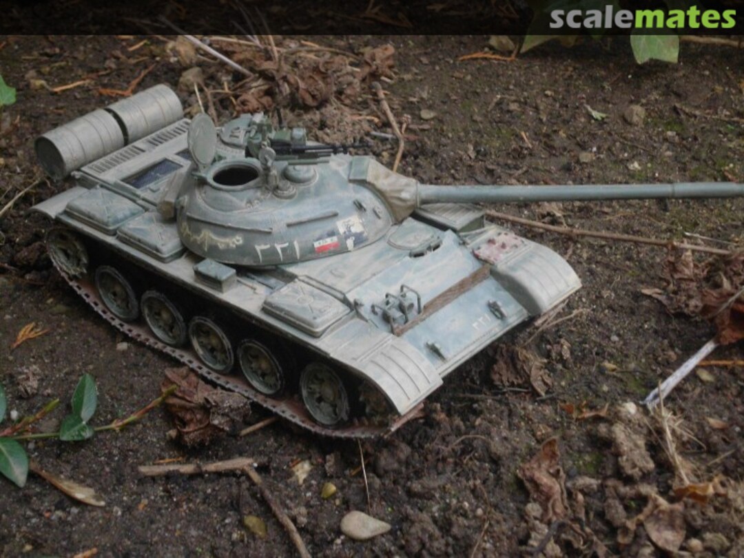 View album, image #1 View album, image #1