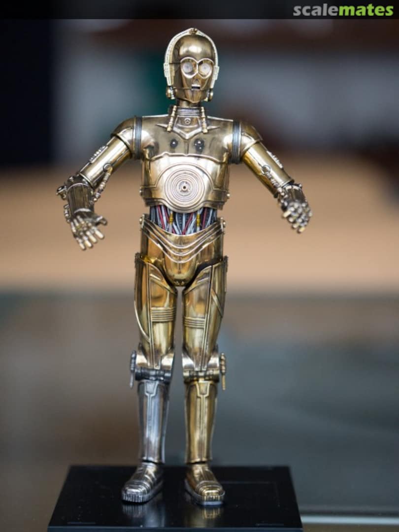 View album, image #1 View album, image #1